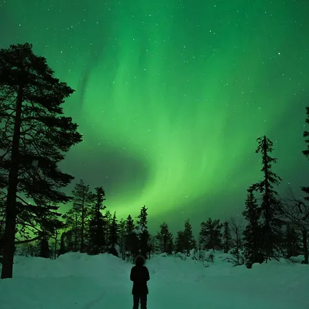 Appartement Levi 1208 Ski-in Ski-out Korospohja