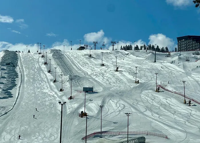 Levi 1208 Ski-in Ski-out *